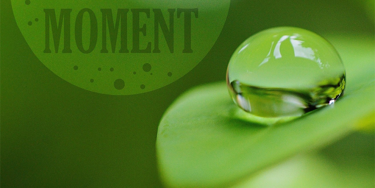 wassertropfen